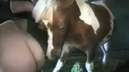 Зоо секс пони трахает мужчину гея в анал