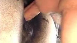 Парень трахнул лошадь, реальное зоо порно с телефона