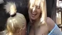 Horse porn. Блондинки и конь, порно с животным