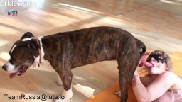 Шлюхи и собака, любительское зоо порно с России