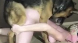 Девушку жестко насилует собака, зоо порно с овчаркой