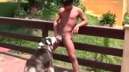 Собака хаски трахнула парня в жопу. Зоо порно гея с животным