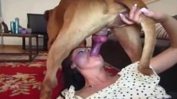 Девушки сосут у собак члены, видео нарезка зоофилии