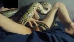 Парень трахает змею в жопу. порно видео
