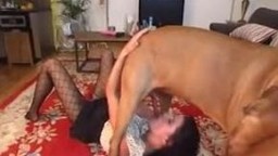 Развратная жена изменила мужу с собакой, зоо секс видео