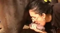 Озабоченная училка отдалась коню. Скачать зоопорно