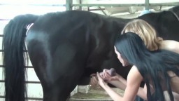 Маша с Кристиной сосут хуй и трахаются с конем. TeamRussia зоофилия