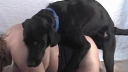 Пёс затрахал до оргазма сельскую учительницу дома