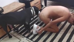 Хуй собаки застрял в пизде женщины. Зоо порно видео