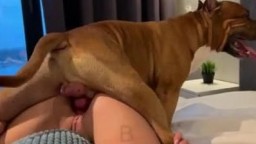 Соня отдалась бойцовской собаке, русское зоо порно